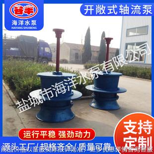 供应开敞式轴流泵 销售铸铁 开敞式1000ZLK 排涝泵水泵