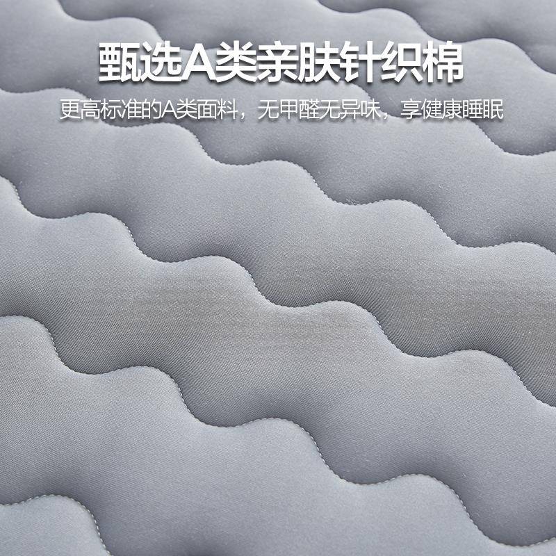 A类乳胶床垫软垫夏季加厚海绵垫褥子宿舍学生榻榻米20X20