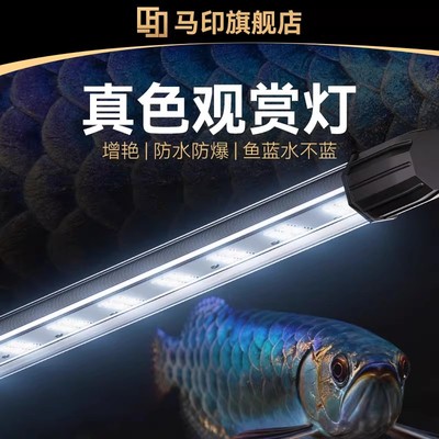 马印神灯专用龙鱼真色灯金龙灯南美鱼冷色系增艳灯鱼缸灯led防水