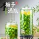泡酒玻璃瓶家用高档密封青梅酒罐酒缸酒坛10斤20斤带龙头专用酒瓶