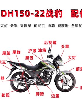 适用新大洲SDgH150-22战豹大灯头罩导流罩前泥瓦油箱减震器车配件