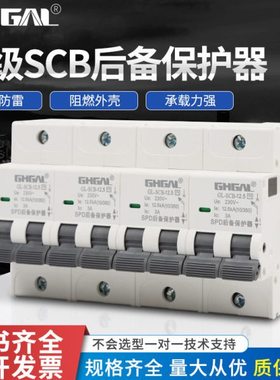 国标GL-SCB12.5 一级二级SCB后备保护器 SPD前置开关 2P 4P T1 T2