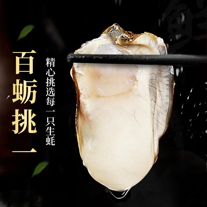 喵小浪生蚝买5斤送5斤乳山特大号生蚝鲜活顺丰10斤鲜活乳山生蚝
