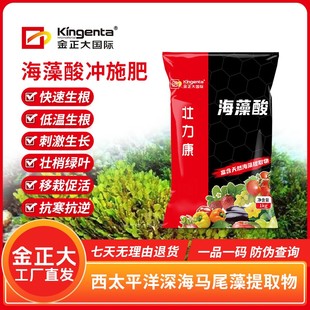 金正大海藻酸生根粉生根液快速生根低温生根壮苗壮树促进叶片浓绿