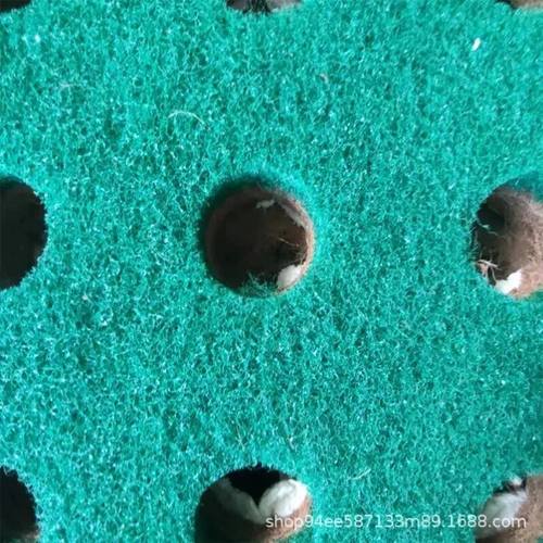 浮动湿地种植板水上植物绿岛聚酯纤维复合纤维生态浮岛高分子浮床