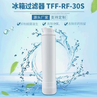 rf冰箱过滤器滤芯EPTWFU01家用烧结活性炭除菌余氯净水机滤芯
