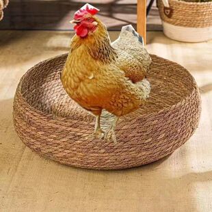 蒲草老母鸡下蛋抱窝孵蛋仓鼠鸽子芦丁鸡兔子荷兰猪通用鸡窝草编窝