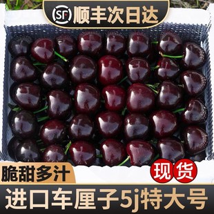 特大果J-5J拉宾斯智利车厘子海运进口樱桃水果5斤原箱内附果径卡