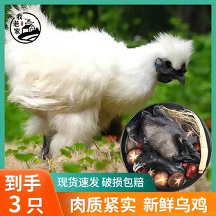 我老家散养鲜嫩乌鸡肉1000g/只*3只 包冰率10%-15%