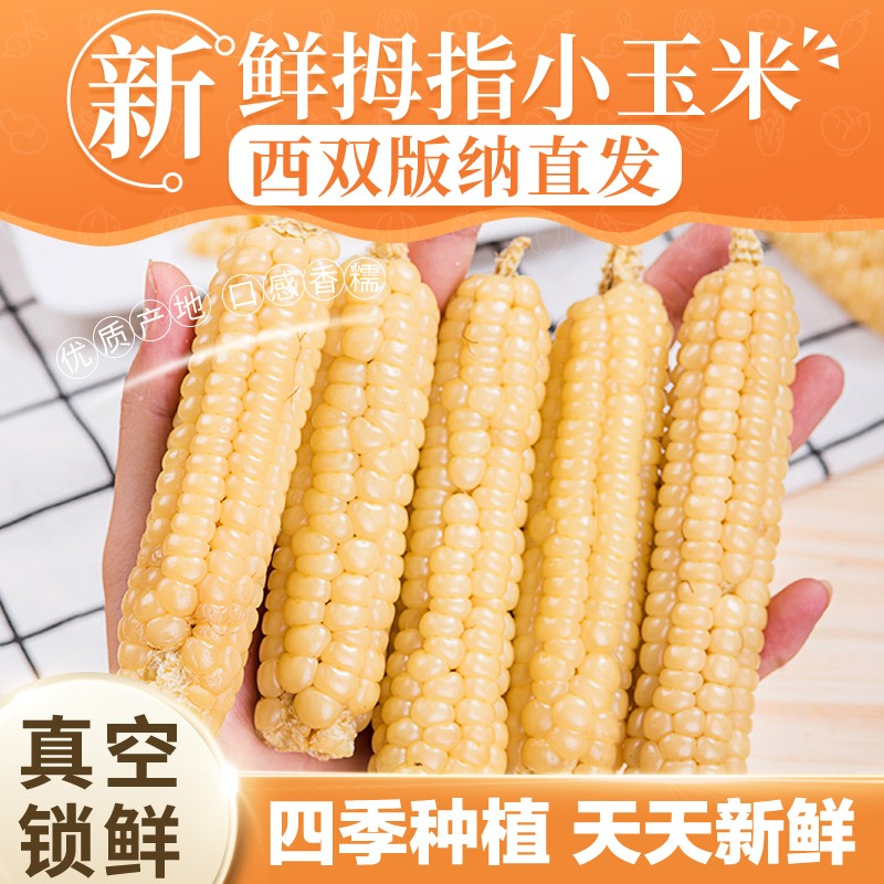 雨林农夫西双版纳拇指小玉米新鲜真空包装即食1斤/2斤糯玉米