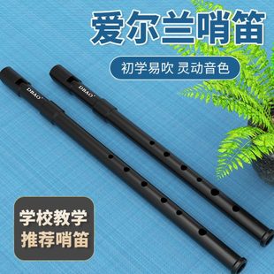 爱尔兰哨笛C调D调笛子初学儿童专业演奏音直笛竖笛乐器小学生用