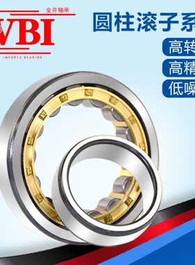 VBI圆柱滚子轴承RN205 206 207 208 209 210 RN212E