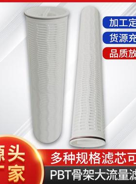大通量滤芯 双氧水厂滤芯W-CLPE010OTF20PE W-CLPF005 OTF20PE