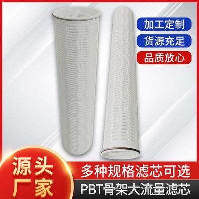 大通量滤芯 双氧水厂滤芯W-CLPE010OTF20PE W-CLPF005 OTF20PE