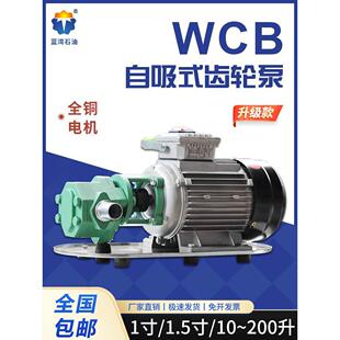 WCB齿轮油泵自吸式电动抽油泵高粘度柴油食用油抽油泵不锈钢油泵