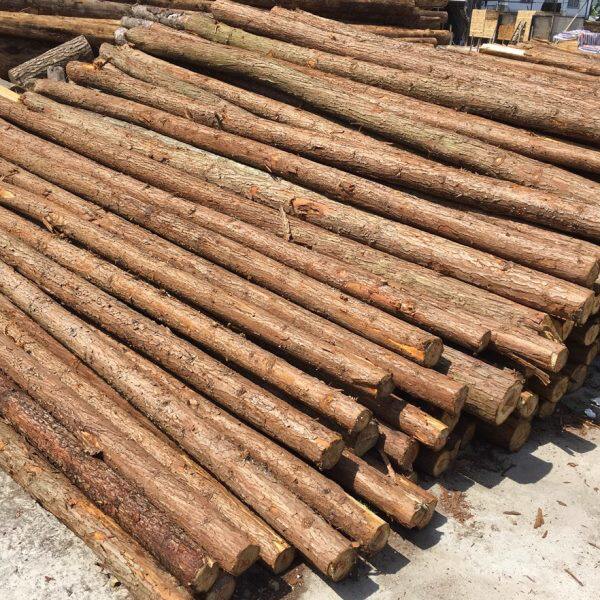 长木桩杉木原木树干围栏实木造景装饰造型树原木木头树桩木段木方