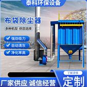 脉冲除尘器中央除尘设备除尘锅炉除尘器木工工业除尘器布袋除尘器