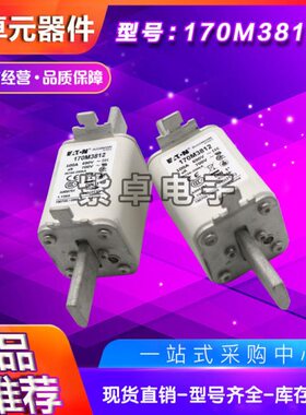 170M3986 170M3987 170M3988 170M3989 170M3990 170M3991熔断器