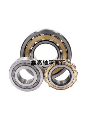 哈尔滨XLA减速机偏心轴承RN310 312 313 219 222 228 NF307M