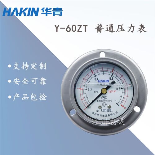 压震表耐青304不锈钢Y60轴向带边安装规格全现货工具水压力岛华青