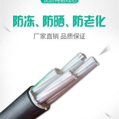 国标铝芯电缆线4芯10 16 25 35 50平方铝线三相四线架空铠装电缆