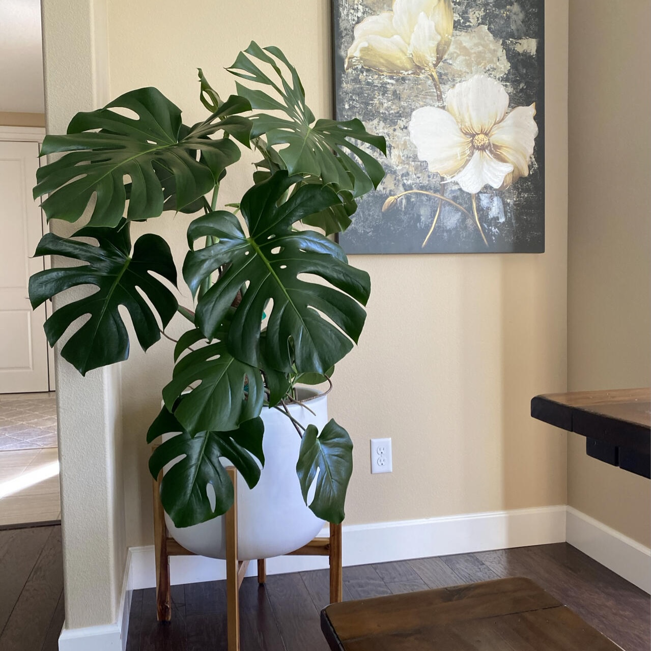 仿真绿植龟背竹高级感假树大型植物室内客厅景观落地盆栽装饰摆件