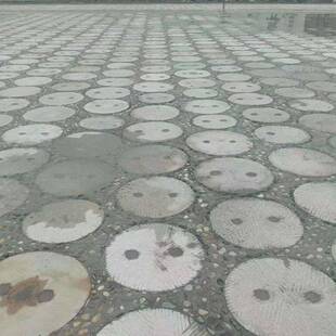 农村老石磨老石槽搭配流水摆件景区磨片铺路磨片石磙刻字刻图案