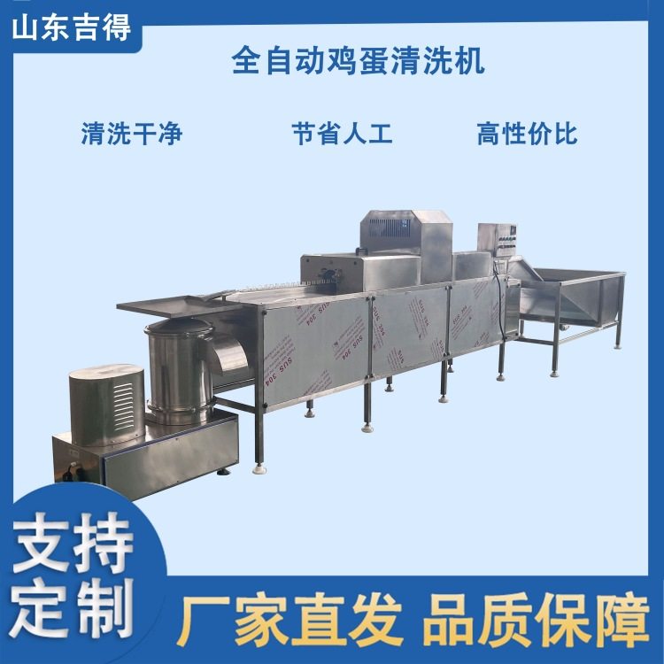 鸭蛋去泥洗刷喷油风干流水线 养殖场禽蛋洗蛋机 咸鸭蛋泥蛋清洗机,清洗/食品/商业设备,打蛋机/洗蛋机/磕蛋机,淘宝优惠券,粉丝福利购,淘宝优惠卷