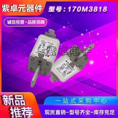 伊顿巴斯曼熔断器170M系列170M3688 170M3738保险丝现货供应