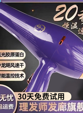 吹风机家用理发店大功率蓝光冷热