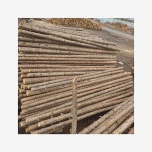 松木桩杉木桩河道打桩木绿化支撑杆落叶松油松户外防汛带皮原木桩