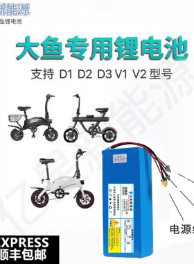 大鱼电动车锂电池36v智行车D1专用D2电池D3大容量s2电芯V1配件DYU