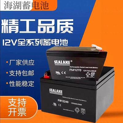 SEALAKE海湖蓄电池FM12V100 7 24 38 40 65 120AH机房直流屏专用