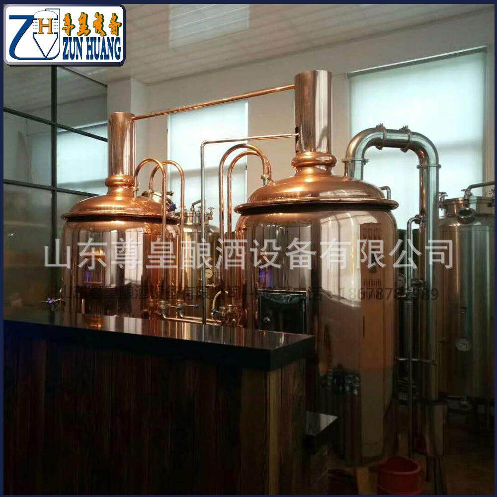 自酿啤酒设备 原浆啤酒机 不锈钢发酵罐 小型啤酒设备厂家