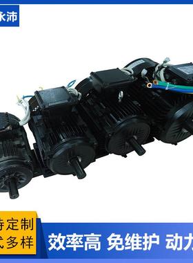 无刷直流永磁电机 直流液压泵站电机 YP90 100 112 132 YPC48V 72