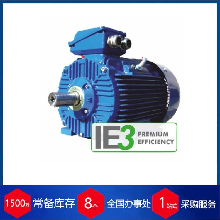 供应波兰besel鼠笼式铝制三相交流电机3SIE63-6B