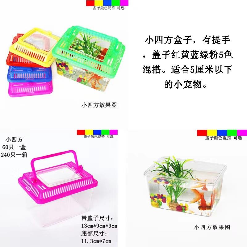 小四方盒子手提乌龟缸小养龟盆透明塑料多色乌龟盒