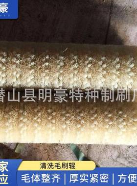生产洗蛋机清洗毛刷辊异型清洗机毛刷辊玻璃清洗毛刷辊螺旋