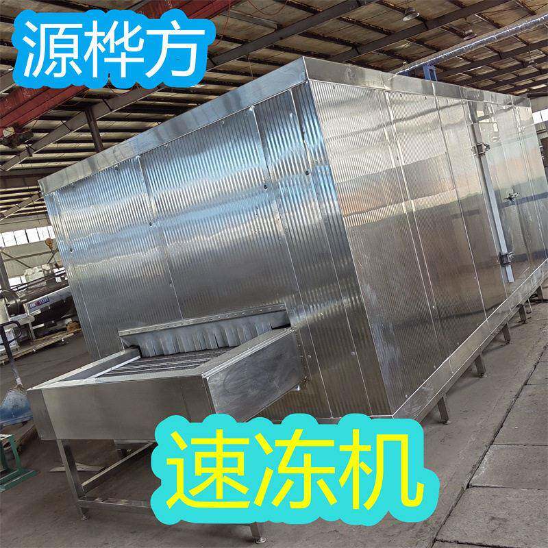 源桦方木瓜速冻机菠萝蜜冷冻加工设备芒果冷冻机