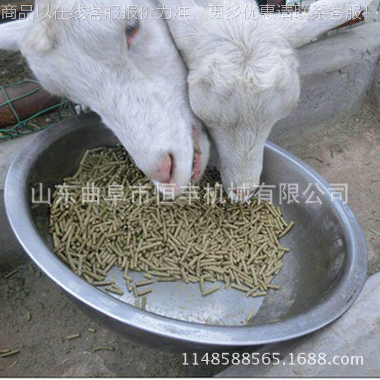 环模料饲机 产时饲1吨鱼虾蟹饲料制粒机 养殖料饲料生产线