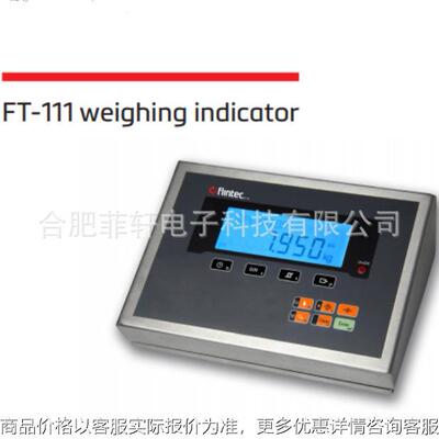 德国富林泰克flintec FT-111不锈钢仪表 电子地磅模拟显示仪表