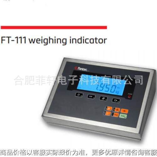 德国富林泰克flintec FT-111不锈钢仪表 电子地磅模拟显示仪表