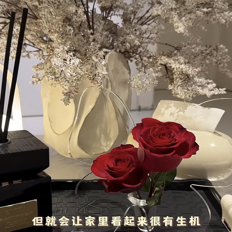 蝴蝶新家花瓶亚克力透明家居装z饰摆件客厅高级感简约水培情绪花