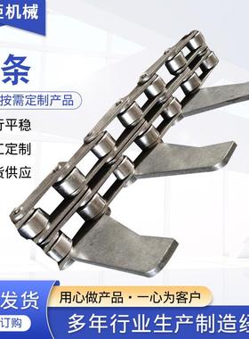 供应输送机链条非标链条大节距链条单双排弯板滚子链异形链条