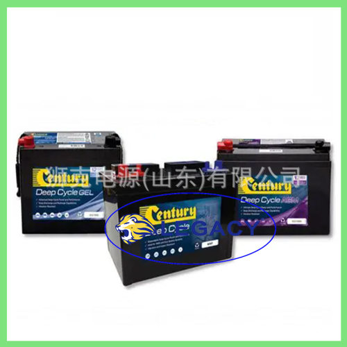 Century蓄电池N200XMFExtra柴油发电机1450CCA220AH12V电瓶