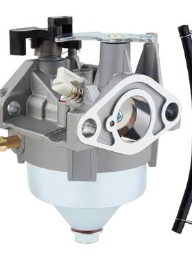 16100-Z9L-811 化油器 适用Honda GCV170 HRN216VKA HRN216草坪机