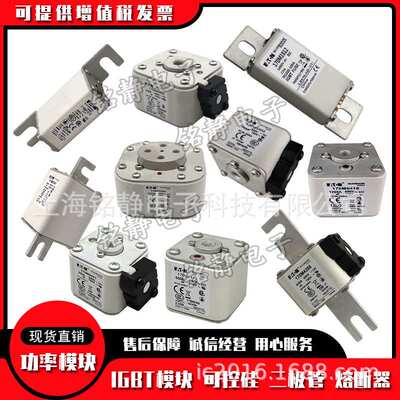 170M3970 170M3971 170M3972 170M3973 170M3974熔断器170M3975