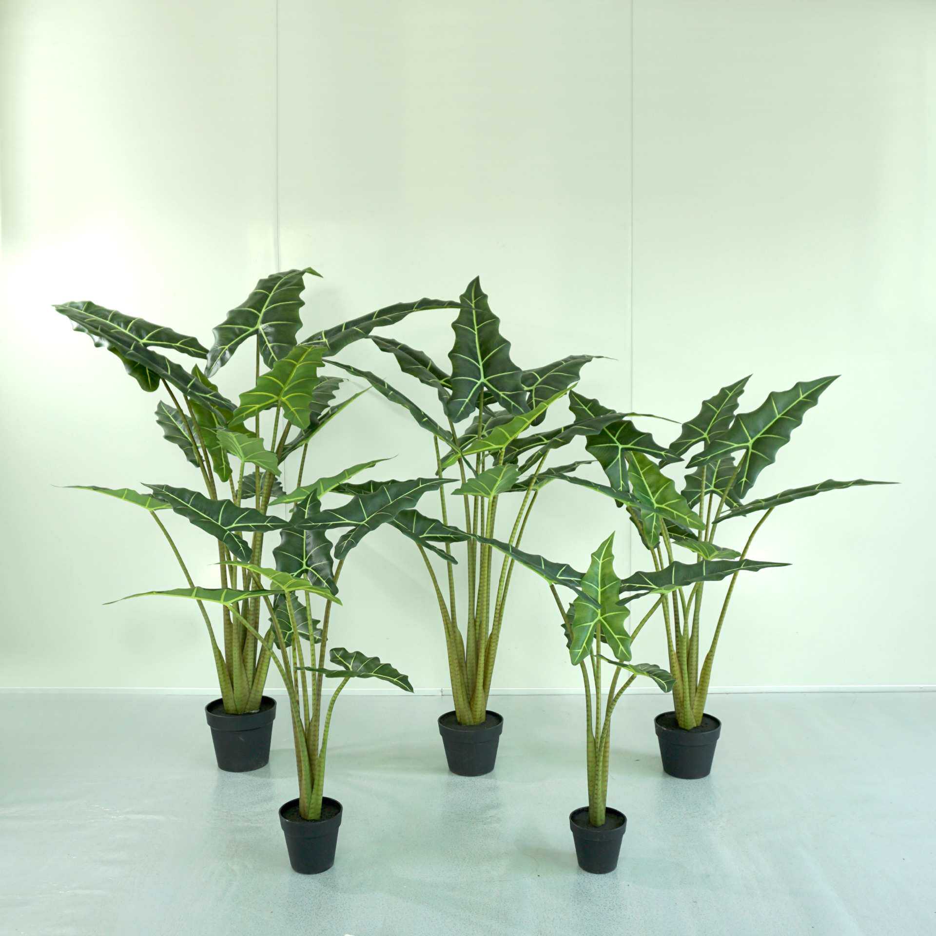 北欧仿真萨利安海芋绿植盆栽黑白犀牛大仙女海芋网红观景落地装饰