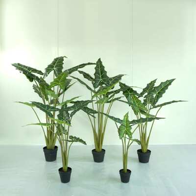 北欧仿真萨利安海芋绿植盆栽黑白犀牛大仙女海芋网红观景落地装饰