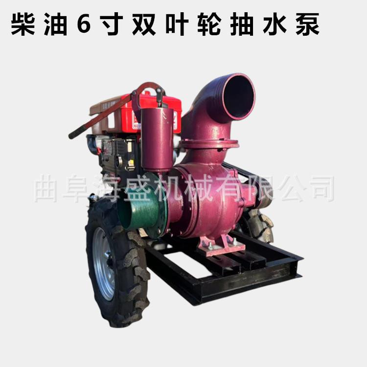 菜园浇水抽水泵 8寸300立方25米扬程柴油机水泵 2寸柴油高压水泵